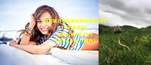 дурь Михайлов