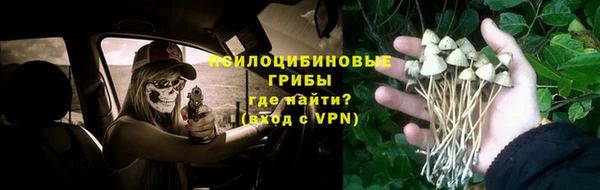 сатива Михайловка