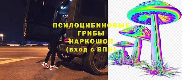 дурь Михайлов