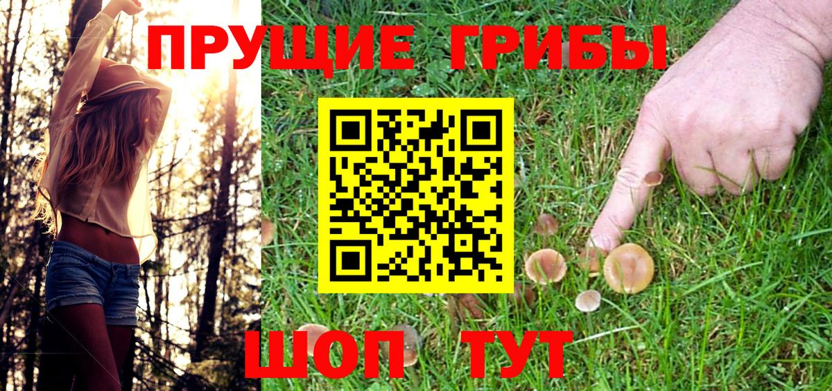 Псилоцибиновые грибы ЛСД  Галлюциногенные грибы мицелий  Новокубанск 