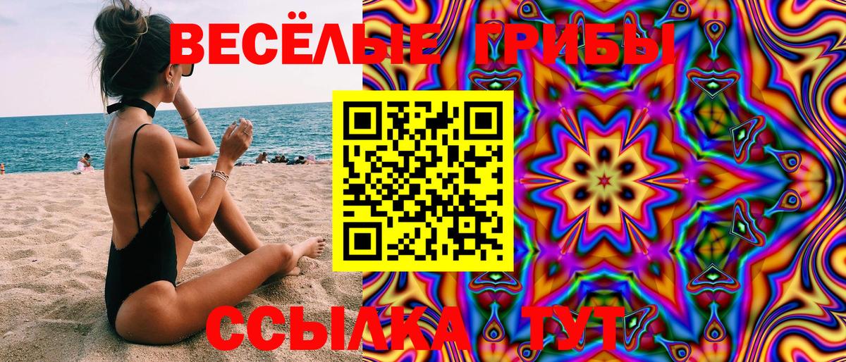 Галлюциногенные грибы прущие грибы Новокубанск