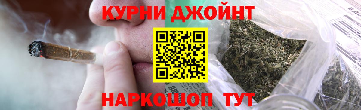 Марихуана сатива Новокубанск